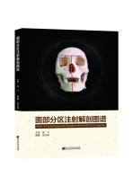 《面部分区解剖图谱 手术原理与整形实践》